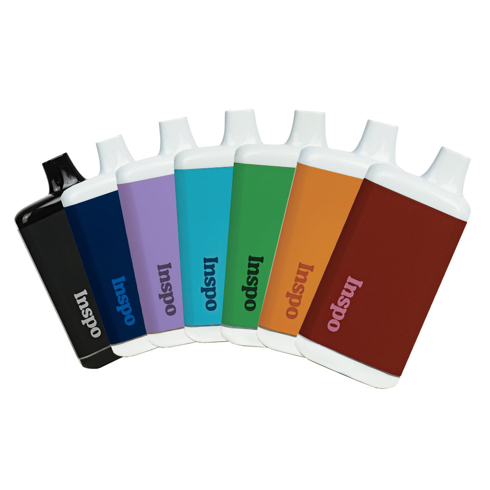 Randy's Inspo Vaporizer